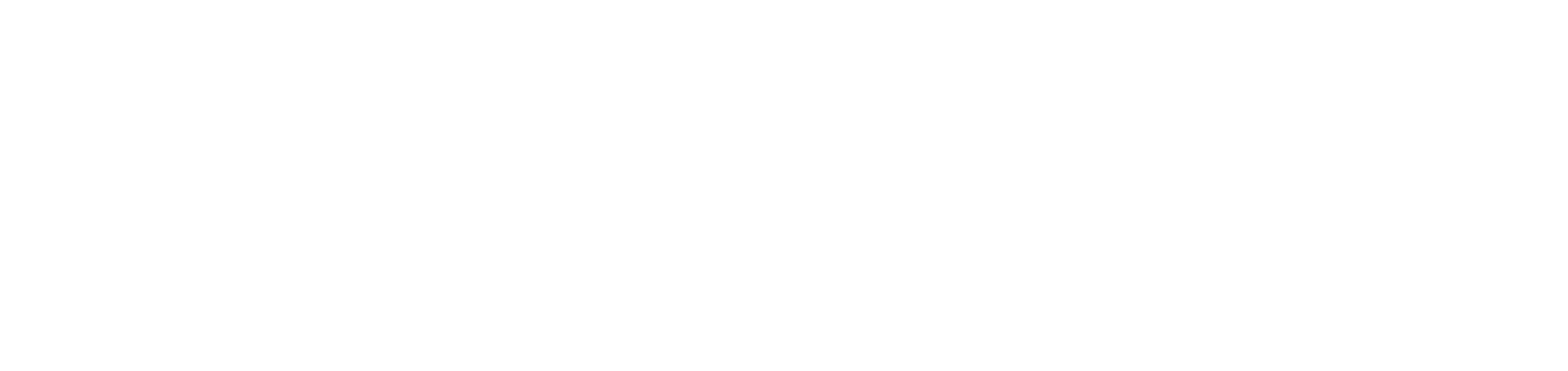 IEEE Young Professionals Sri Lanka Logo
